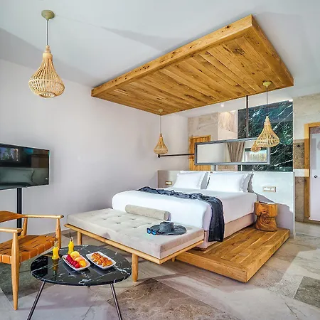 Stella Island Luxury & (adults Only) Hersonissos (Crete)